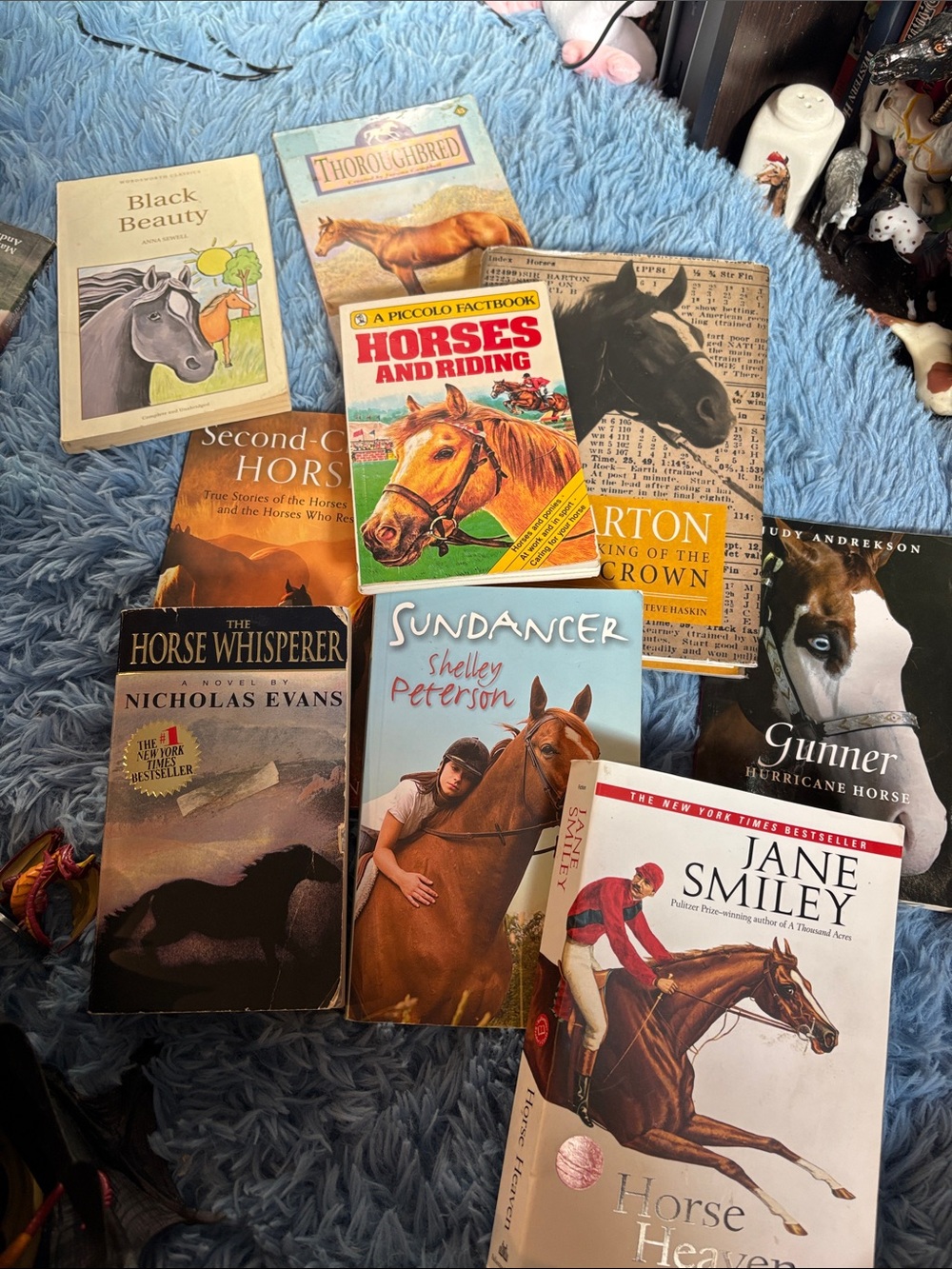 Assorted Horse-Themed Paperback Book Lot - Mixed Covers with Horse Artwork